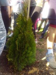 IMG_20170321_134326.jpg